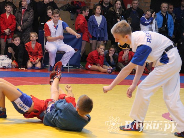 Открытый турнир по самбо «Новогодняя звезда-2019» прошел в Великих Луках (ФОТО)