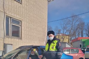 «Цветочный патруль» прошёл в Великолукском и Куньинском районах (ФОТО)