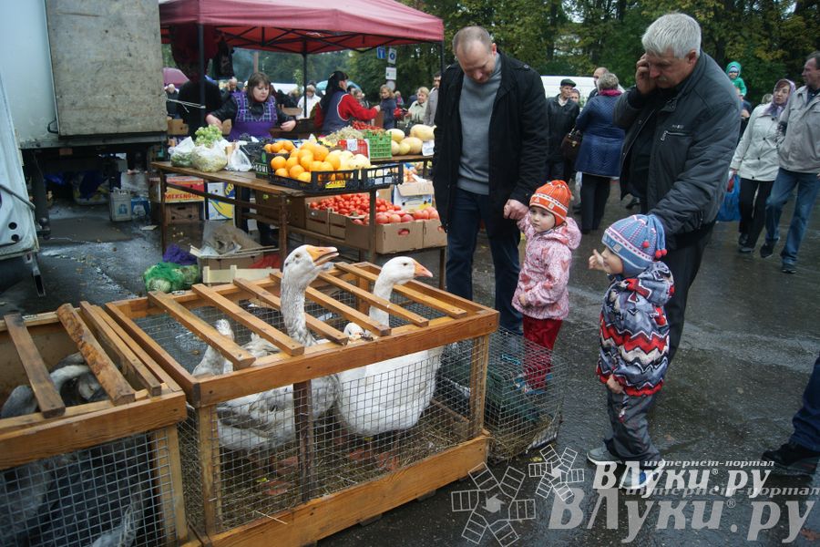 ​Универсальная торговая ярмарка «Осень – 2014» состоялась  в Великих Луках