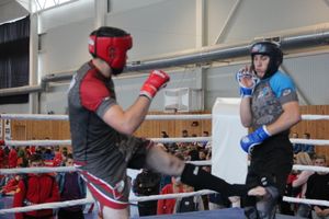 1-й Фестиваль боевых искусств состоялся в Великих Луках  (ФОТО)