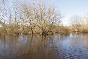В Великих Луках продолжаются поиски мужчины, пропавшего 9 марта (ФОТО)