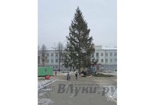 Директор ДСУ прокомментировал недовольство великолучан главной городской елкой