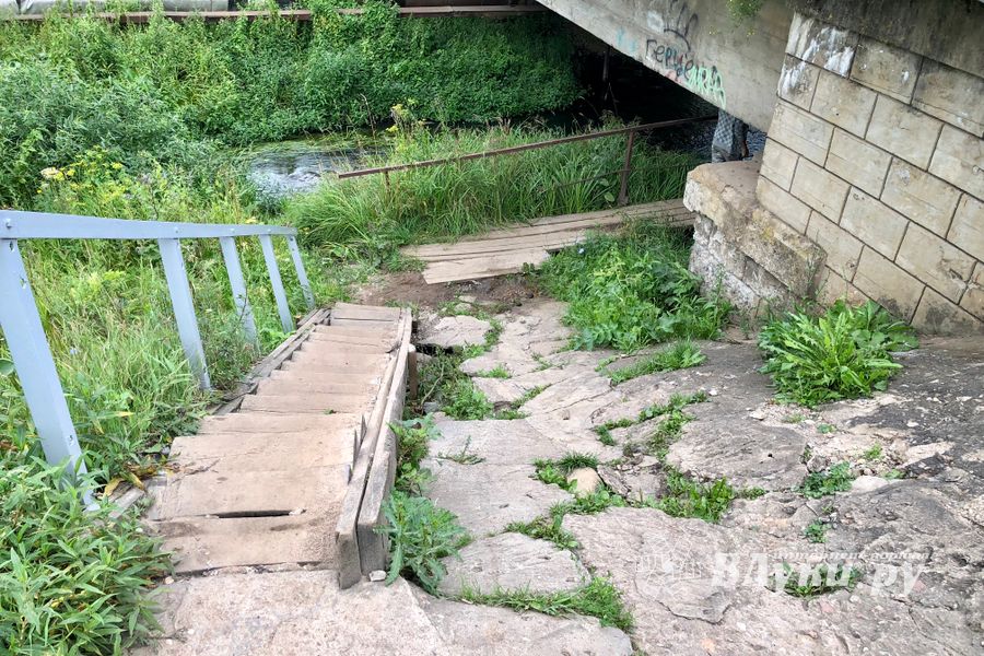 Великолучанка собралась жаловаться Путину на опасный Лазавицкий переезд (ФОТО)