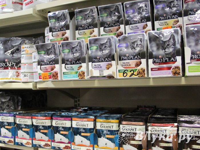 «Zooбастики»: подарите праздник своим любимцам! (ФОТО+ВИДЕО)