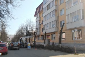 На Пионерской пилят деревья (ФОТО)