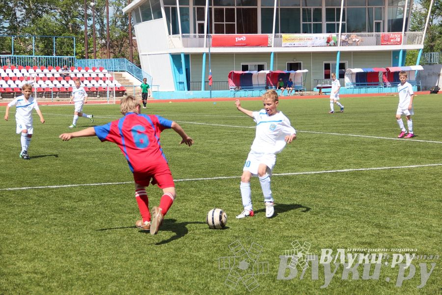 «Локобол-2013» в Великих Луках