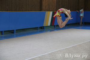 В Великих Луках прошло Первенство по художественной гимнастике (фото)