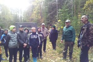 В псковской области прошла акция «Живи,лес!» (ФОТО)