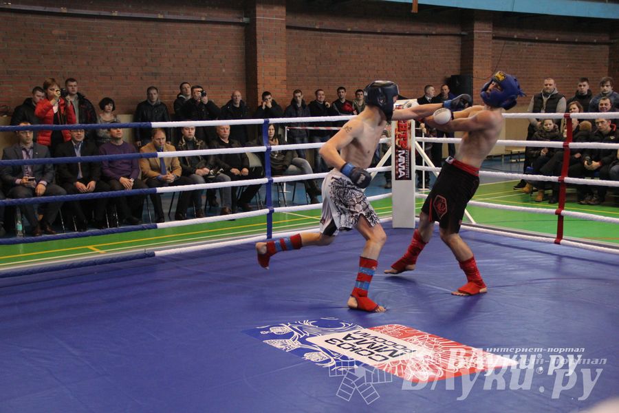 В Великих Луках прошел межрегиональный Открытый Кубок по смешанному боевому единоборству (фото)