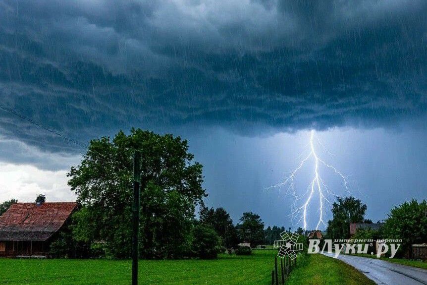 Фото создано нейросетью Шедеврум