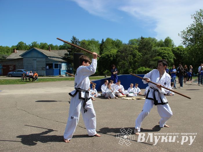 Спецназ «разгромил» на Дятлинке «банду»