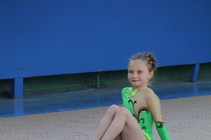 В Великих Луках прошло Первенство по художественной гимнастике (фото)