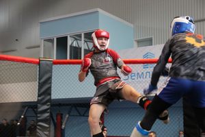 В Великих Луках прошел кубок по смешанному боевому единоборству (ФОТО)