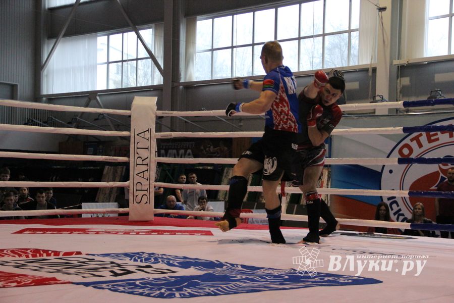 Открытый кубок по смешанному боевому единоборству ММА прошел в Великих Луках (ФОТО)