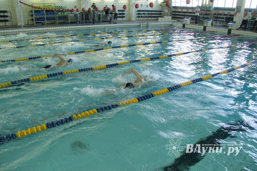 В Великих Луках прошел Чемпионат и Кубок города по плаванию (фото)