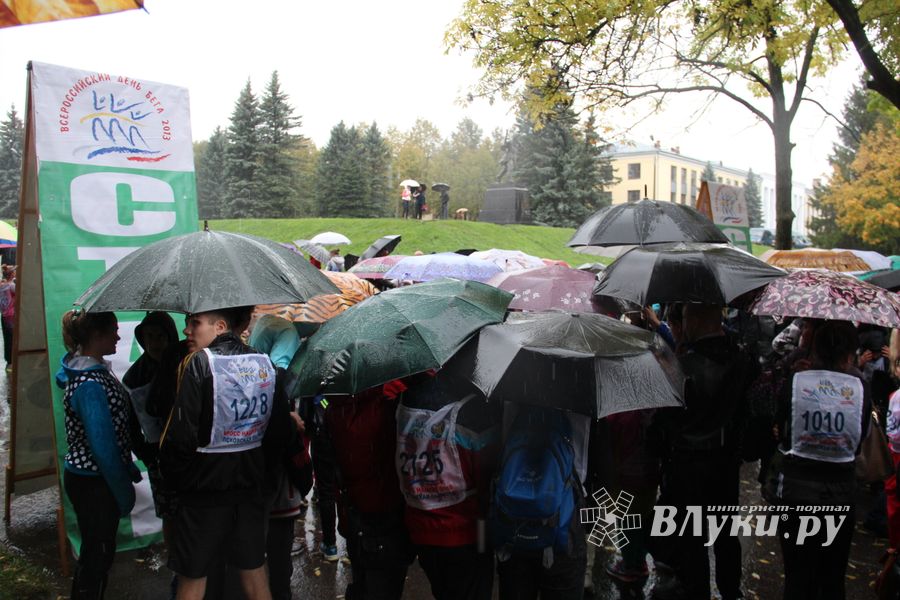 В Великих Луках прошел «Кросс Нации - 2015» (фото)