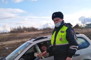 «Цветочный патруль» прошёл в Великолукском и Куньинском районах (ФОТО)