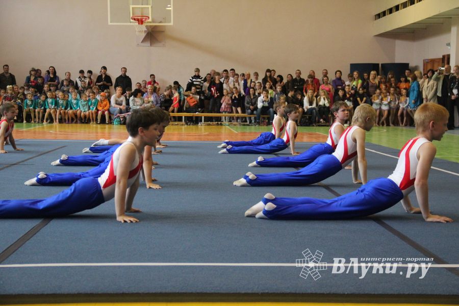 Парад гимнастики