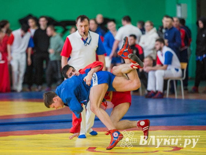 Фото: Александр Воробьев Великолучане завоевали награды Всероссийских соревнований по самбо