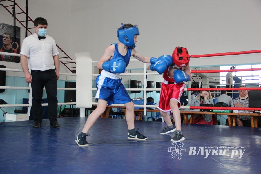 В Великих Луках завершился открытый турнир по боксу (ФОТО)