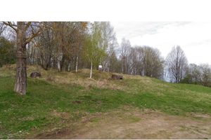 Приводили в порядок памятник — едва не сожгли дом, жалуется жительница Великолукского района (ФОТО)