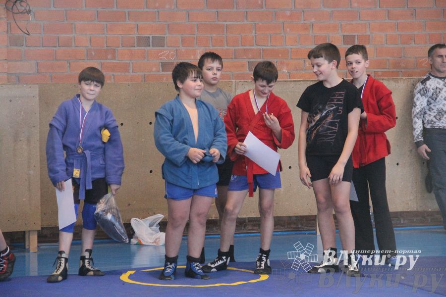 состоялось Открытое первенство города Великие Луки по борьбе самбо