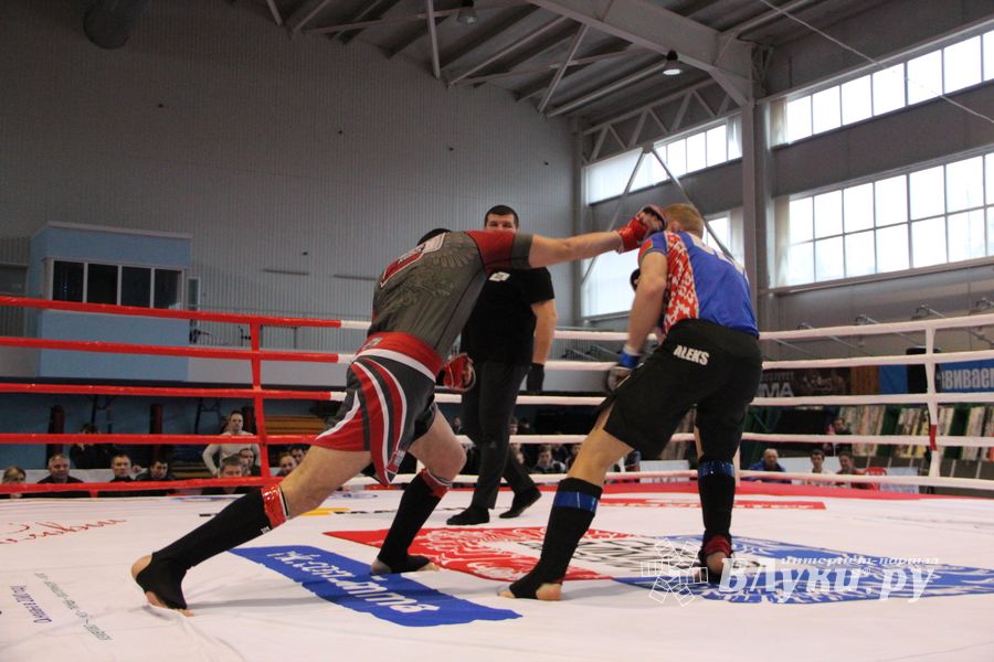 Открытый кубок по смешанному боевому единоборству ММА прошел в Великих Луках (ФОТО)