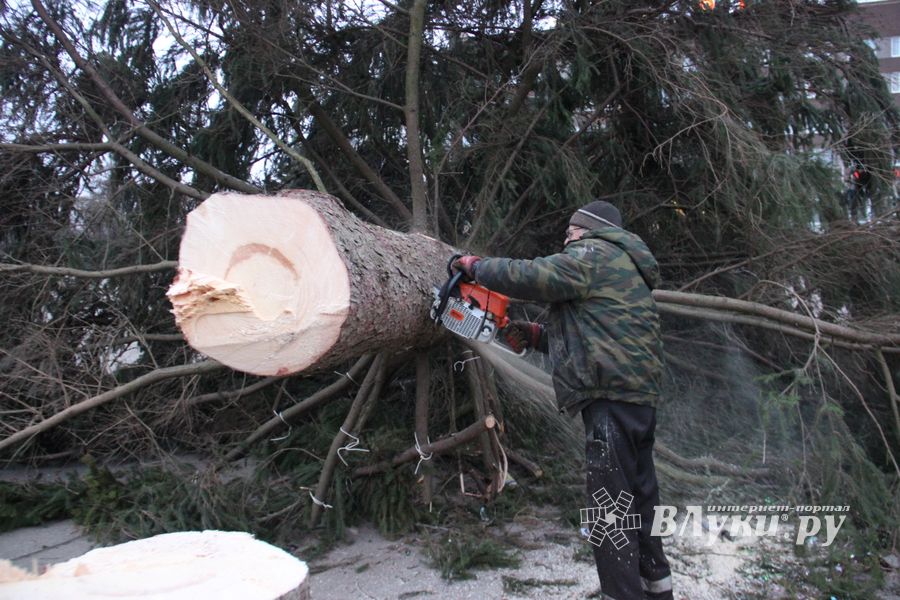 Необычное украшение сняли с главной ёлки Великих Лук (ФОТО)