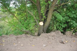 На Новосокольнической расширили и очистили обочину (ФОТО)