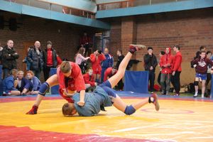 Великолукские самбисты завоевали 54 награды на Первенстве города (ФОТО)