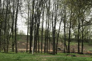 В будущем Петровском парке завершается очередной этап работ (ФОТО)