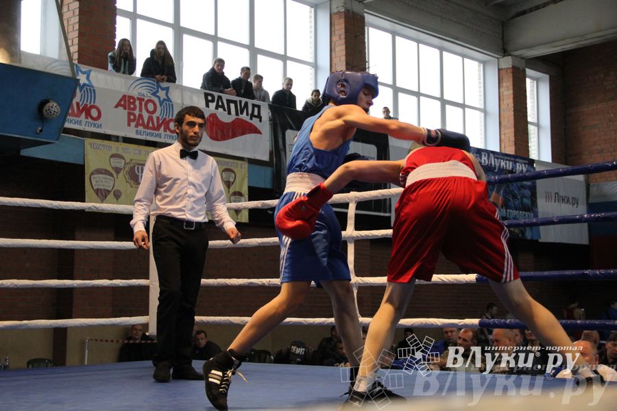 16-й Международный турнир по боксу (фото)