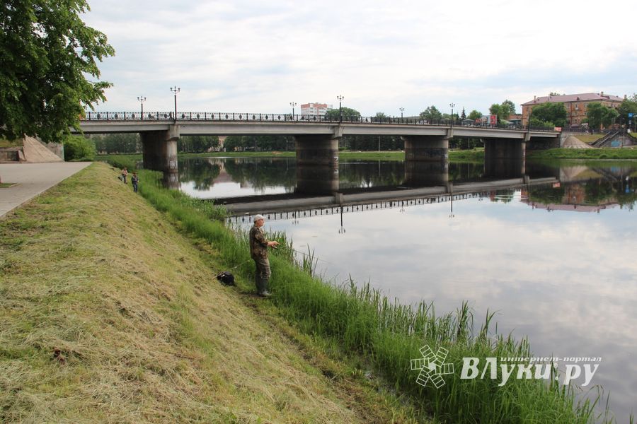 Чемпионат Великих Лук по ловле спиннингом: клевала, но мало (ФОТО)