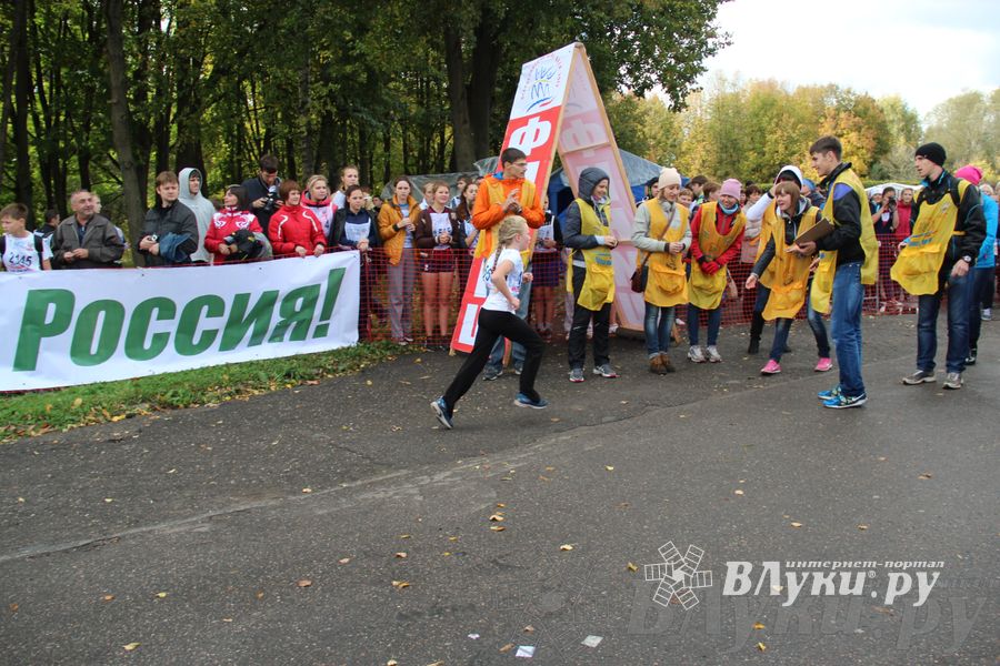 Кросс нации