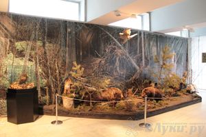 Обзор выставок Краеведческого музея