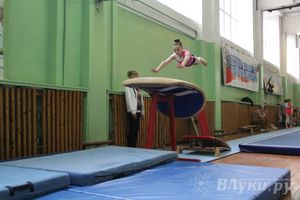 В Великих Луках прошел турнир по спортивной гимнастике (фото)