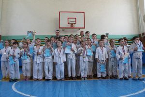 Юные великолучане приняли участие в турнире по дзюдо «Крепыш» (ФОТО)