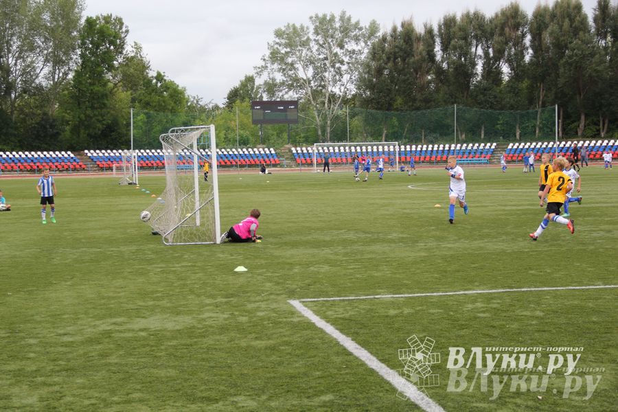 В Великих Луках состоялся Всероссийский турнир «Загрузи себя футболом» (фото)