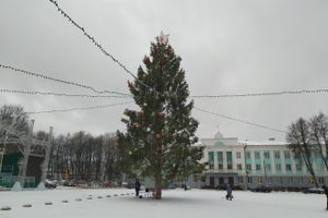 Главную новогоднюю ёлку в Великих Луках нарядили к праздникам (ФОТО)