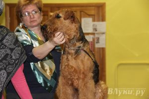 Всероссийская выставка собак в Великих Луках (фото)