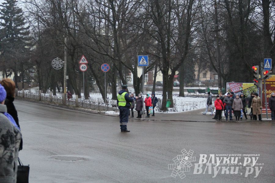 В Великих Луках установили новогоднюю елку (фото)