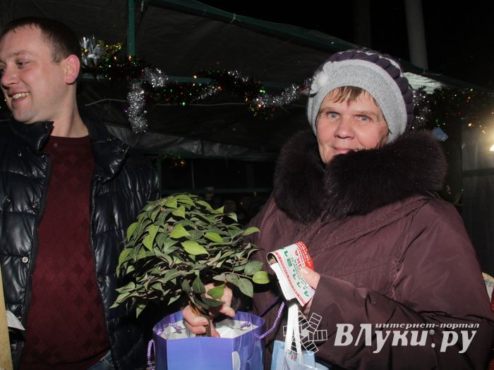 Великие Луки к встрече Нового года готовы (ФОТО)