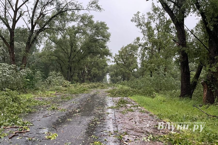 Весь ужас вчерашнего урагана в Великих Луках и районе (ФОТО, ВИДЕО)