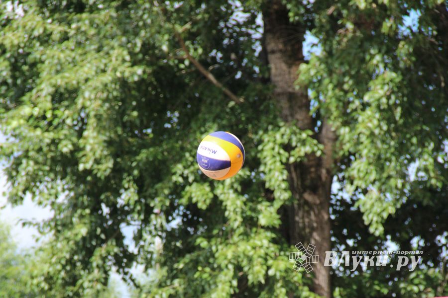 Открытие скейт-парка