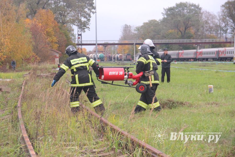 В Великих Луках тушили поезд (ФОТО)