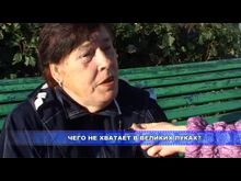 ДТВ-Рапид: Опрос горожан