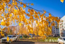 Вторая волна бабьего лета придёт в Псковскую область