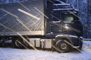 Фото: УМВД России по Псковской области