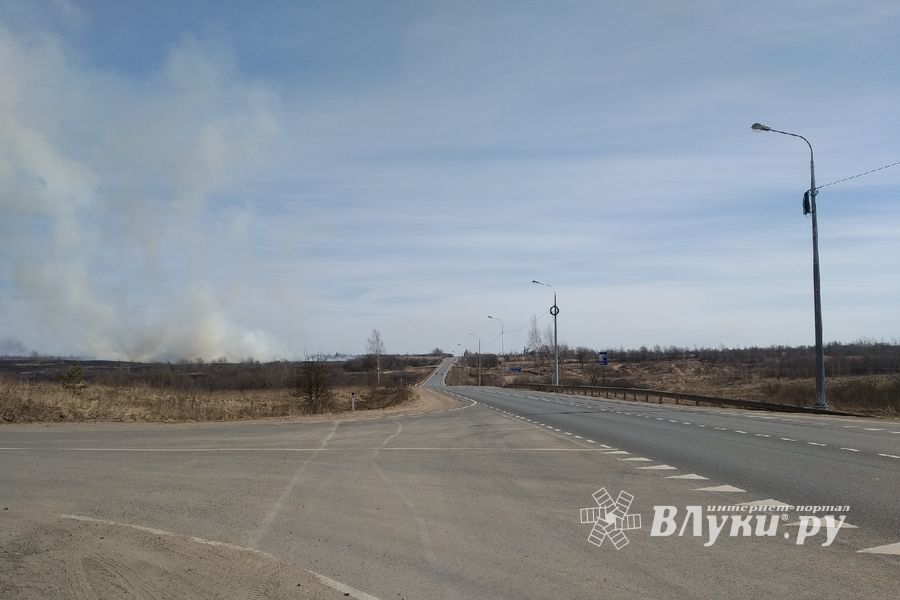 Почти 60 палов травы тушили пожарные Псковской области (ФОТО)