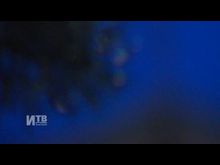 Импульс-ТВ: Крещение